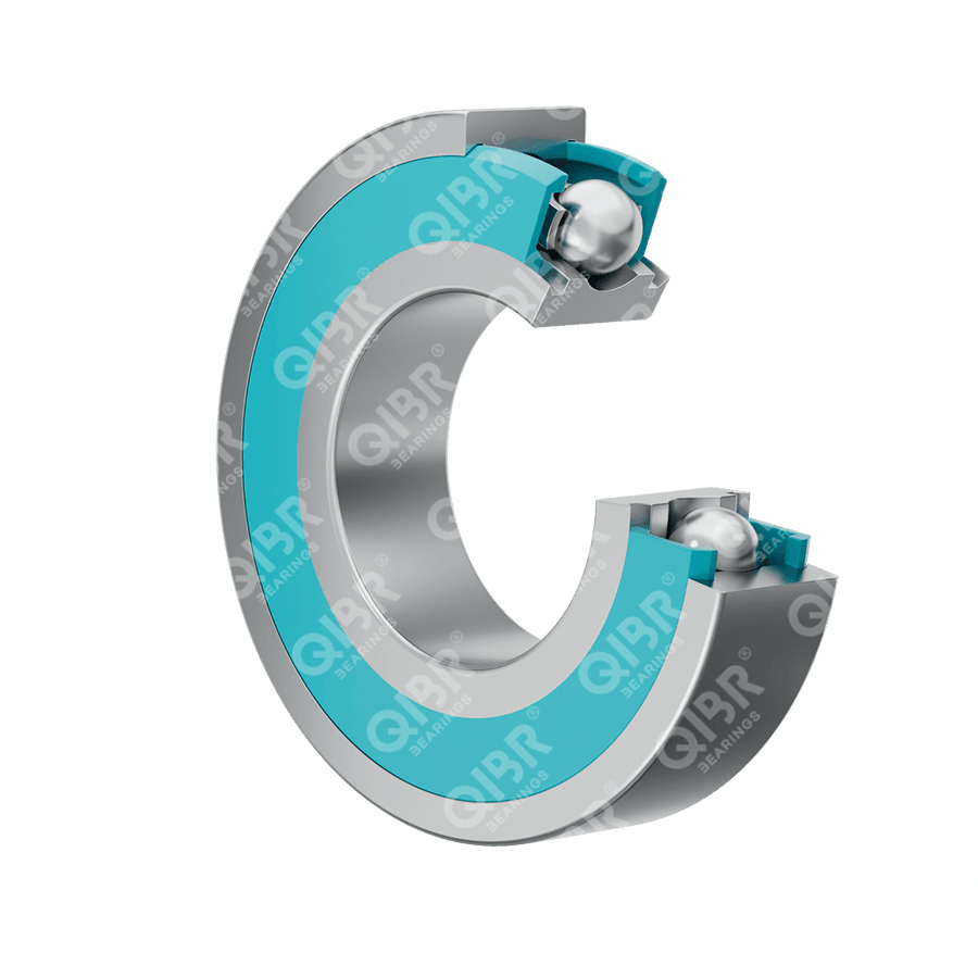 6000-2RS/